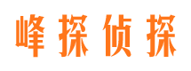 友谊寻人公司